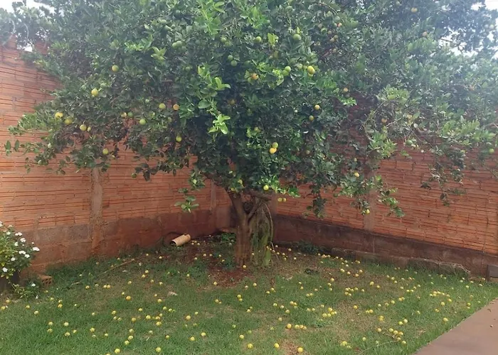Suíte Luxo perto da BR, conforto família, trabalho