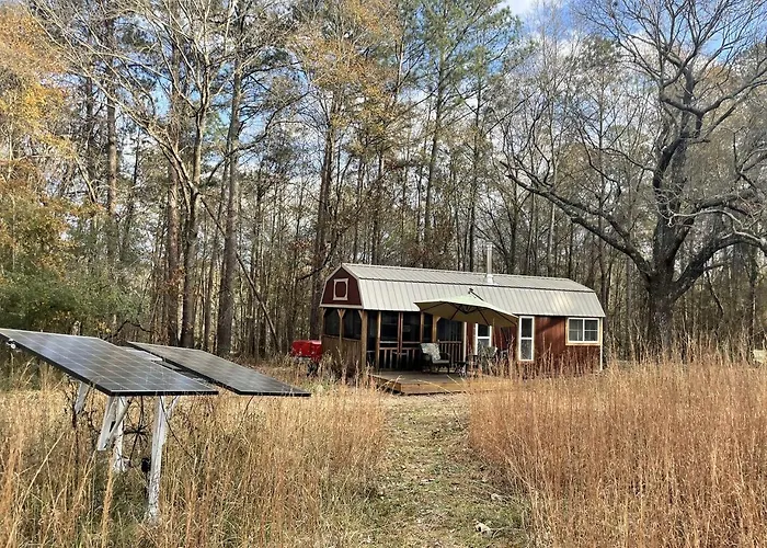 Serene Forest Cabin With Hammock, Loft & Reading Nook In La Grange, Georgia
