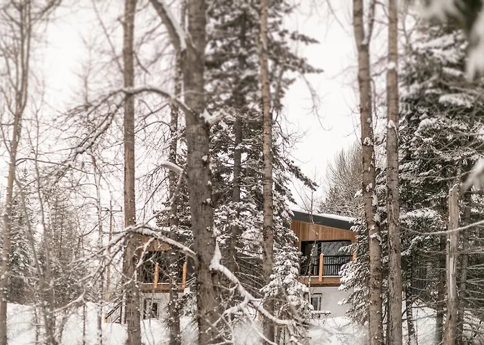 Tinwood Cabins The Descent, Cozy 3 Min To Rossland