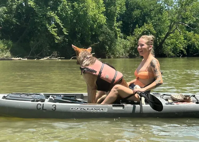Cabin #3 On Meramec River