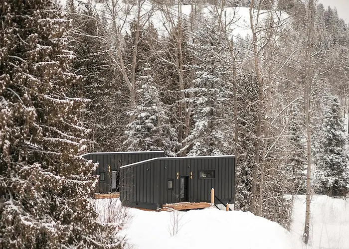 Tinwood Cabins The Descent, Cozy 3 Min To Rossland