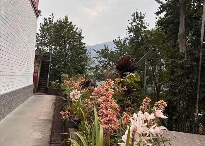 Monastic Stay Gangtok