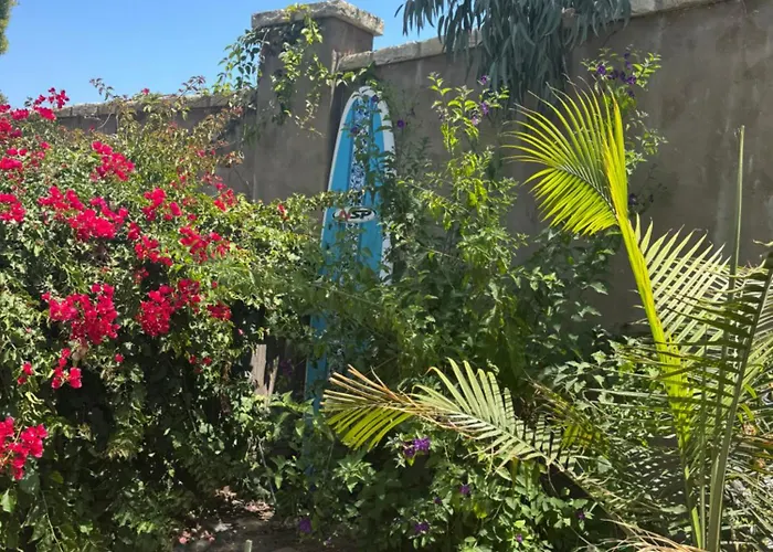 Park Place Paradise