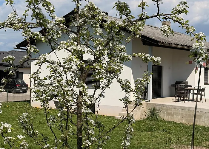 Aussichtsstrasse - Wunderschoen Renoviertes Einfamilienhaus In See- Und Stadtnaehe