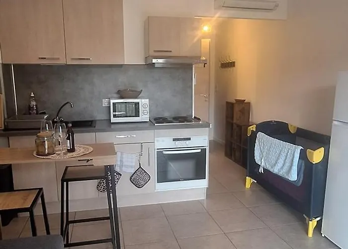 Studio L'Aliva - Avec Balcon - Residence Paisible