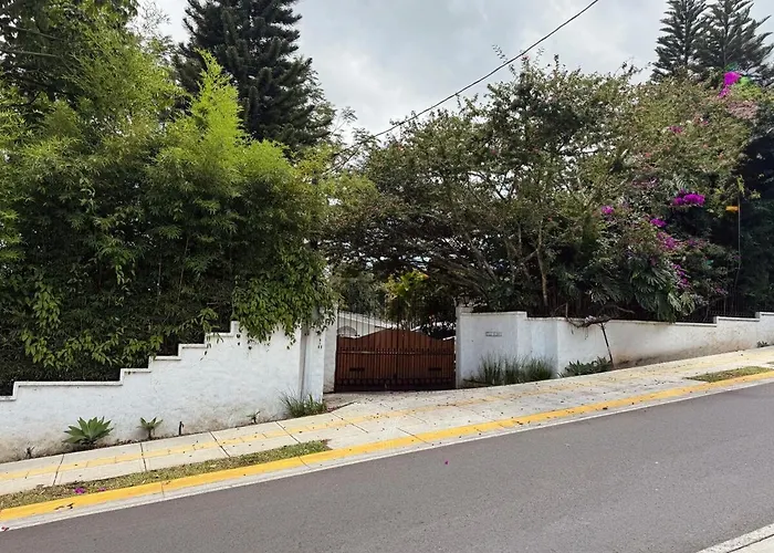 Escazu Modern Apt With 2 Beds & Full Kitchen