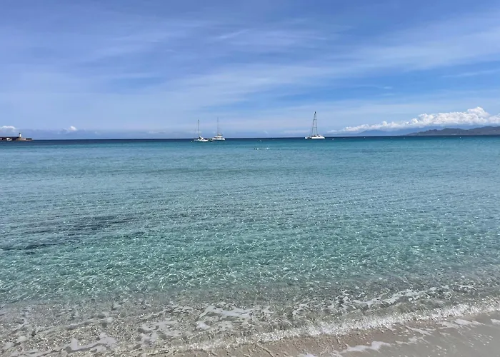 Superbe T2 Avec Grande Terrasse Et Vue Mer Residence Isola Celeste