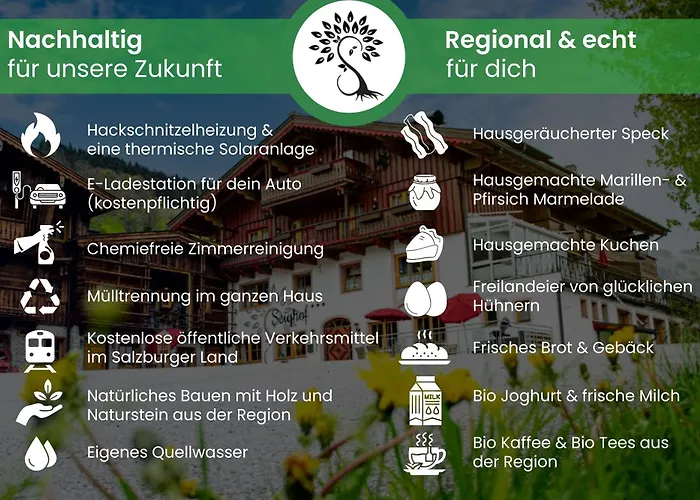 Pension Seighof - Geschichte Zum Anfassen Seit 1366 - Regionales Fruehstueck & Halbpension - Skishuttle - Ski In - Bergpanorama