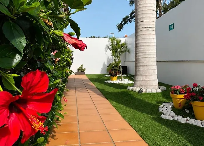 Alsol Los Leones Bungalows - Adults Only