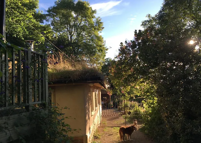 Pathways, Beachwood Cottage