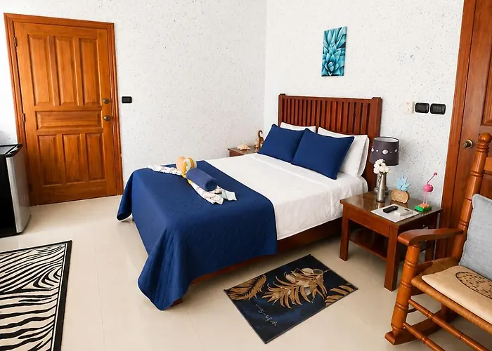 1 Sol Dominicus Solo Adultos Habitacion Con Entrada Independiente Y Bano Privado
