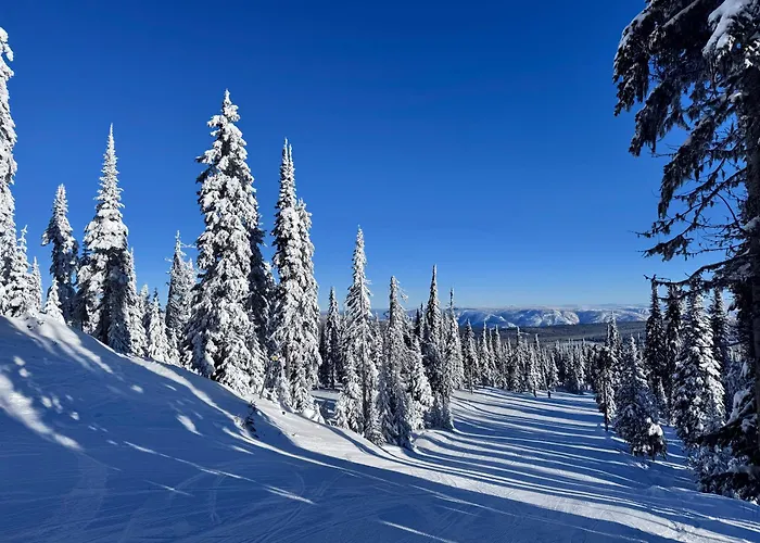17 Village Walk Sun Peaks Bc