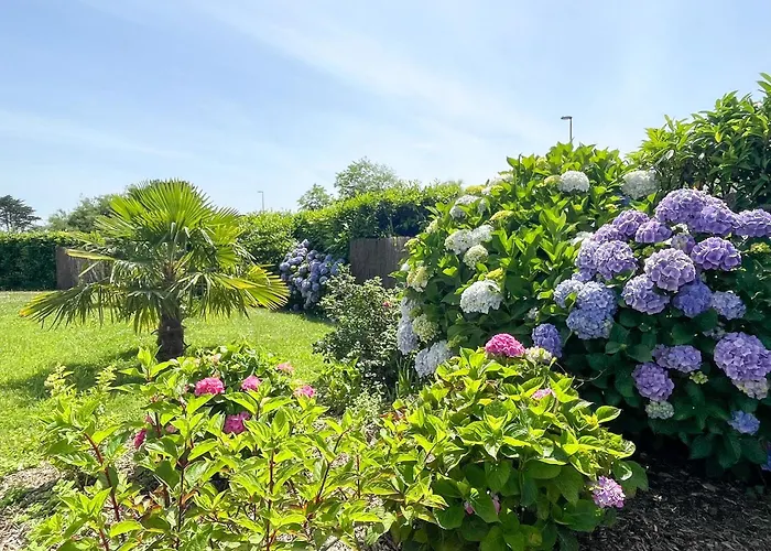 Belle Maison Renovee, 650M De La Plage, Grand Jardin, Classee Meuble De Tourisme 3 Etoiles