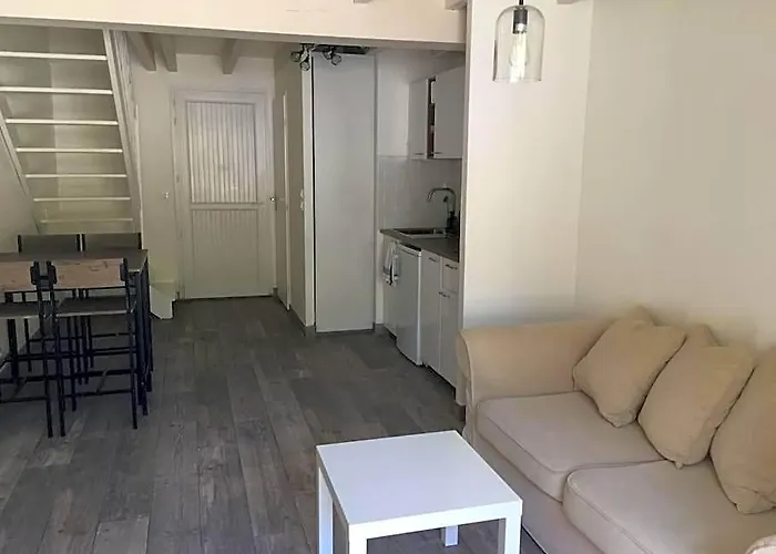 T3 En Duplex Avec Grande Piscine