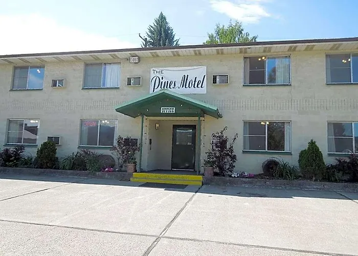 The Pines Motel