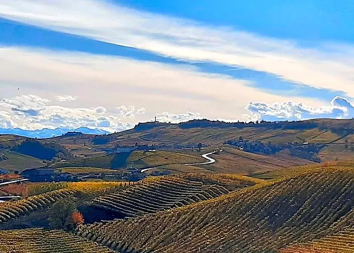 Red Wine Camere
