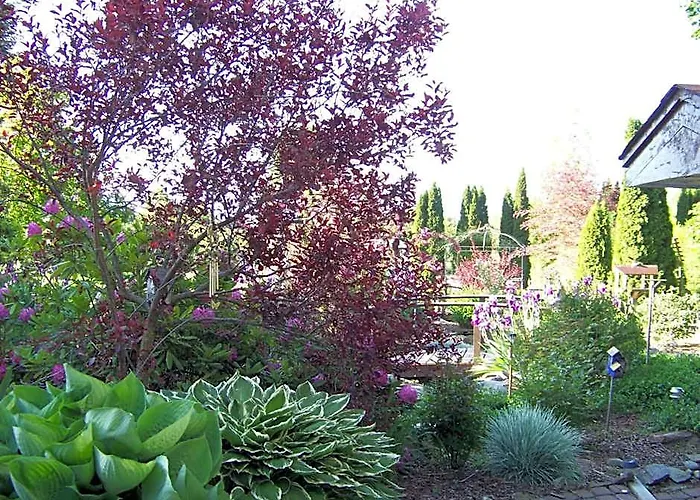 Bavarian Orchard Motel