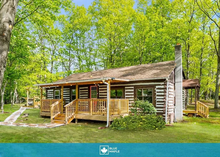 Modernized Log Cabin W Hot Tub Fire Pit & Views
