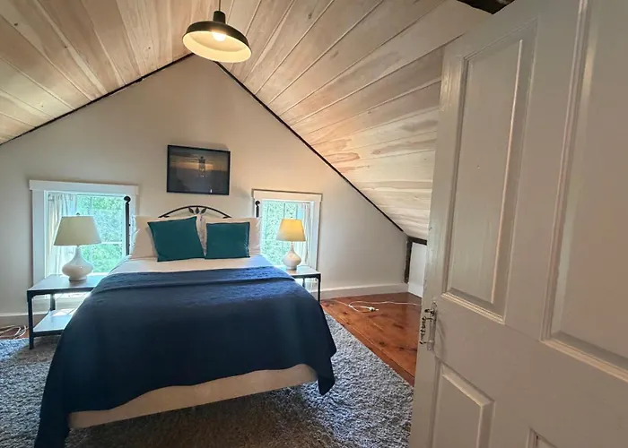 Friendly Home With Our Separate Condos & Free Wifi In The Heart Of Downtown