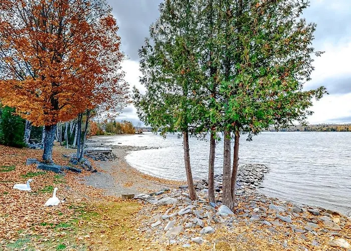 Lakefront Cottage With Full Kitchen, Firepit, Gas Grill, Wifi, A/C
