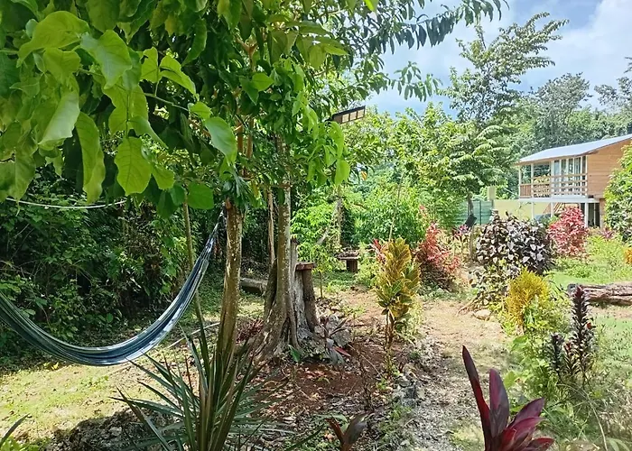 Jack Fruit House
