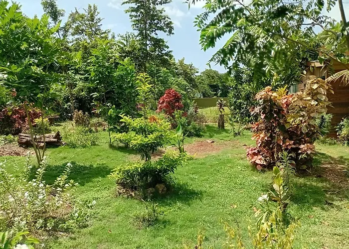 Jack Fruit House