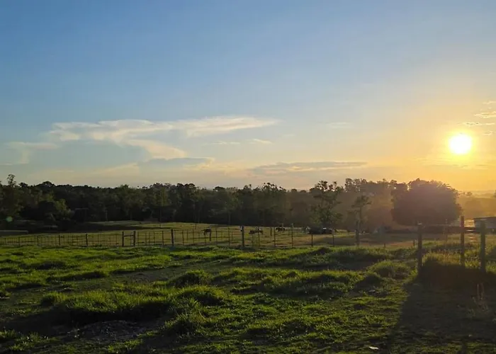 Casa Por do Sol Perfeito - Cesário Lange
