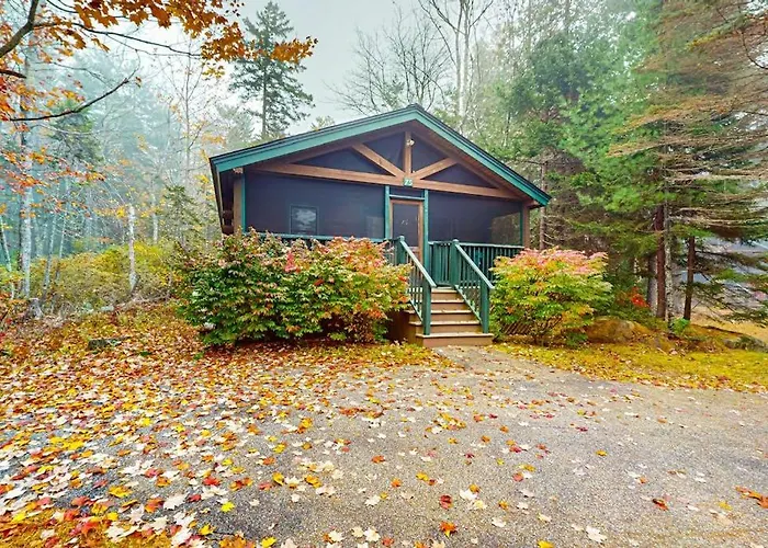 Charming Cabin Getaway With Firepit, Kitchen, Wifi & Nature At Your Door