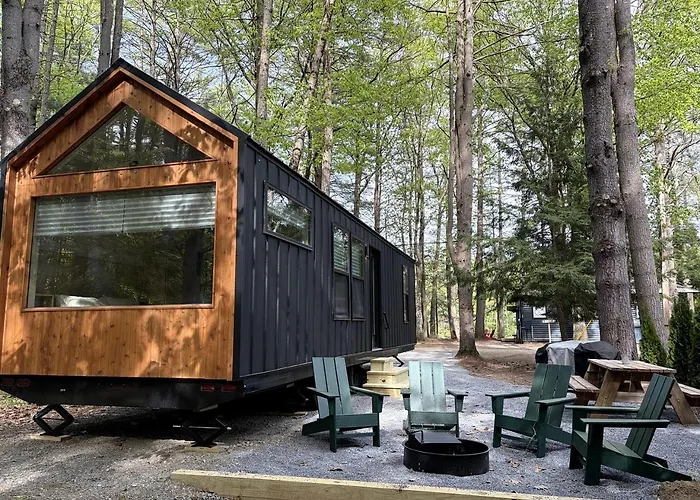 Walnut Nordic Tiny Cabin Forest View