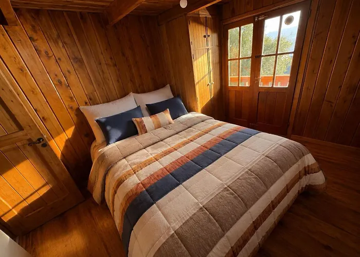 Olly Patagonia Suites