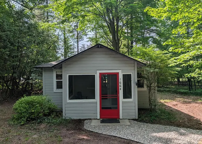 New! Jack-In-The-Pulpit - Cute And Cozy Cabin!