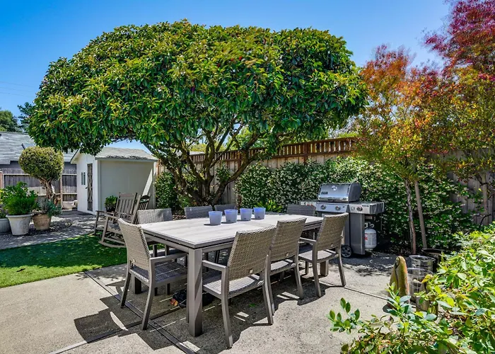 Walkable Mill Valley Gem: Private Patio + Yard
