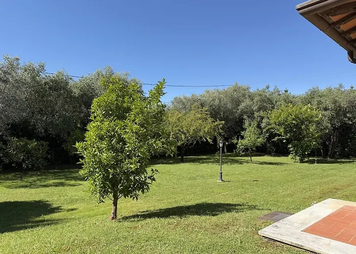 Villa Degli Olmi
