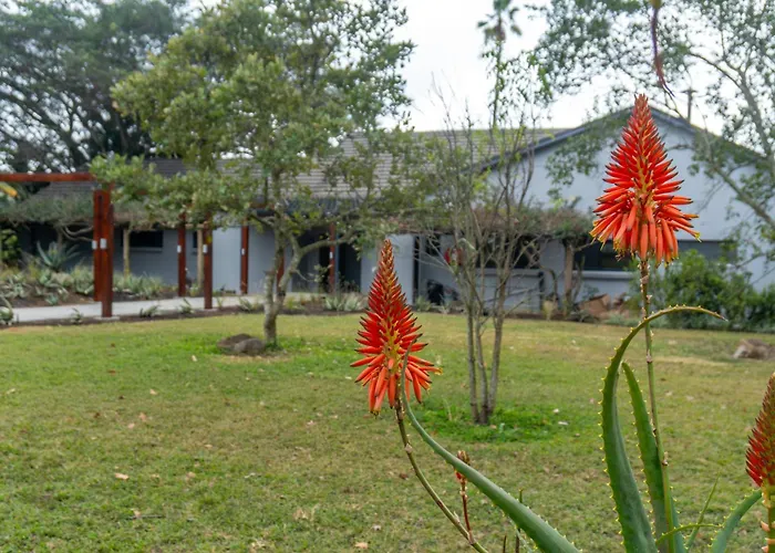 Valley Nest Country House
