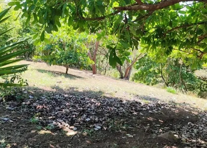 Casa Mango