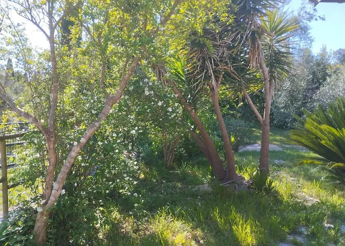 La Casa Felice