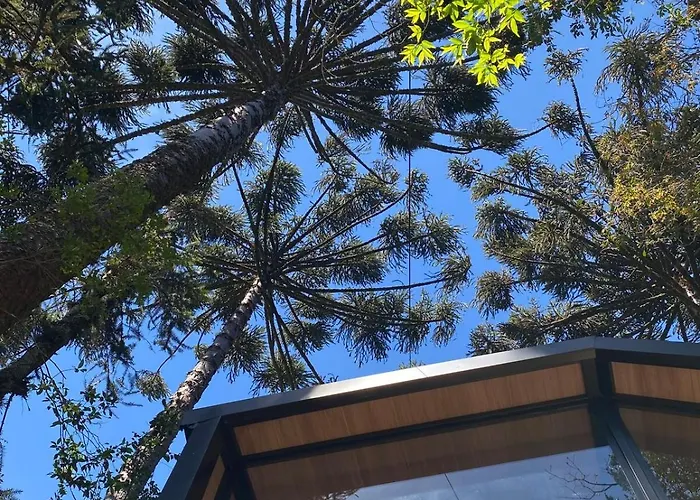 Cabana da Floresta Encantada Fee Haus
