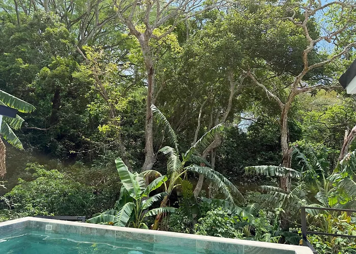 Casa La Paz, Piscine Secrete A L'Oree De La Foret!