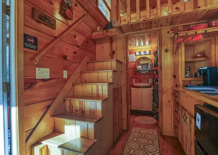 Tiny Fox Pond Side Retreat With Forest Views