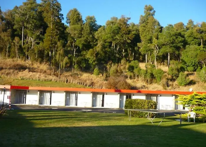 Safari Motel
