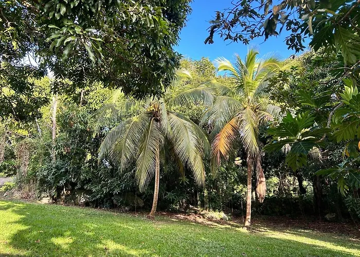 Coco Palm - Tropical Island Retreat