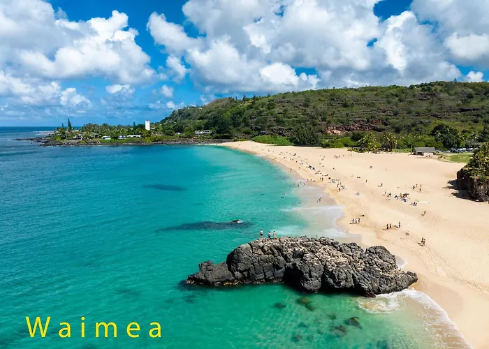 Lei Ali'I