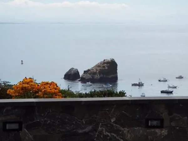 Harbor Moon L Stunning Trinidad Harbor Ocean Views