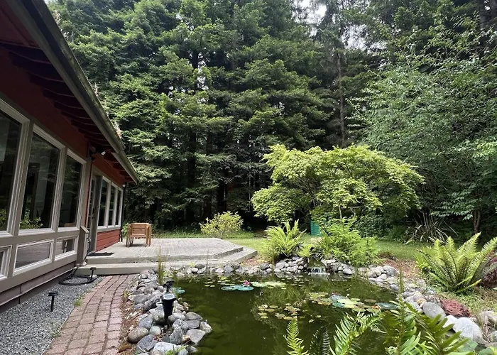 Modern Cabin In The Redwood Rainforest