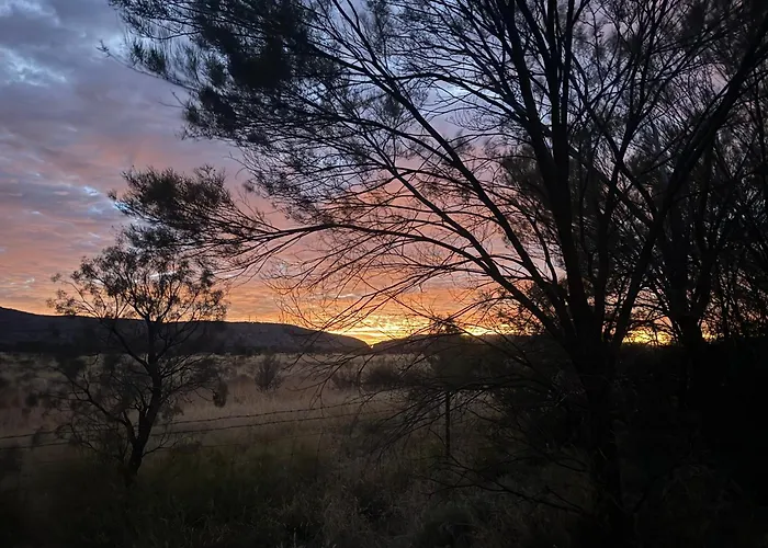 Nature Of Alice - Bush Retreat