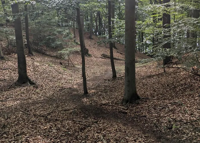 Pokoje Goscinne Kalina