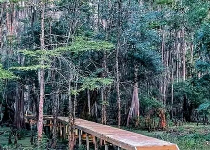 The Knee Knocker On Caddo Lake: Family Cabin Near Karnack, Texas