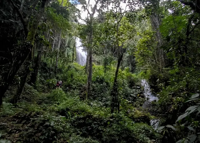 Ecoturismo Tripuí