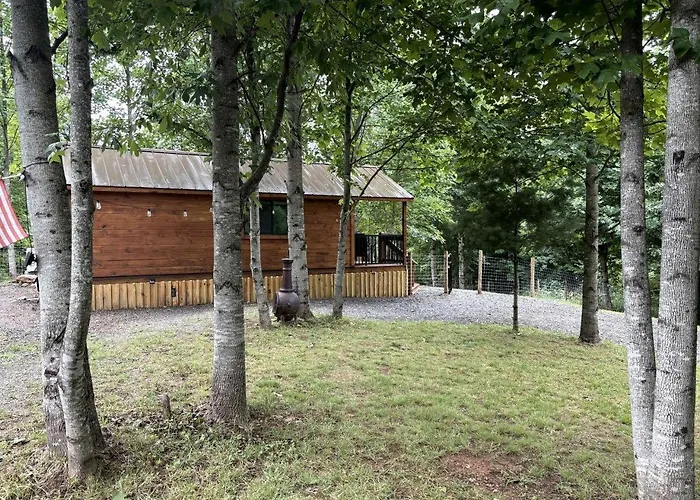 Secluded Studio Cabin With Fenced Retreat Near Blue Ridge Parkway | Meadows Of Dan, Virginia