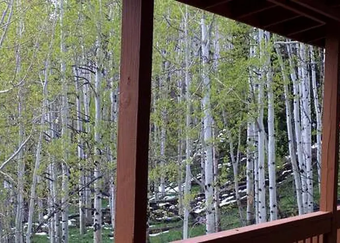 Luxury Mountain Getaway Near Routt National Forest In Colorado